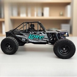 LDRC LD18499 2.4G 4WD High Speed Off-road RC Truck Blue