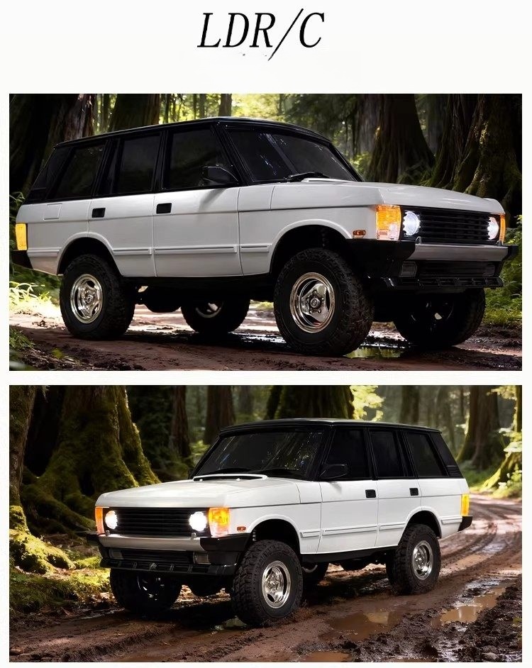 LDRC LD18401PRO High Speed RC Car RTR